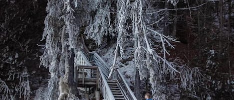 Enceinte de l’hébergement