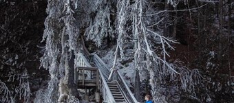 Au Chic Chalet des Chutes | Chic Cottage | Spa