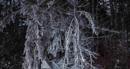 Au Chic Chalet des Chutes | Chic Cottage | Spa