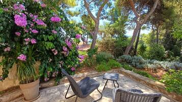 Studio (Apartments Villa Pelegrin - Studio Ap) | Exterior