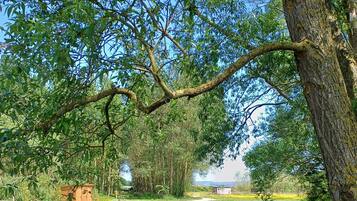 Cabin | Property grounds