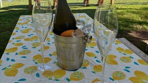 A table with a bottle of champagne, two glasses, and a bucket with ice cubes.