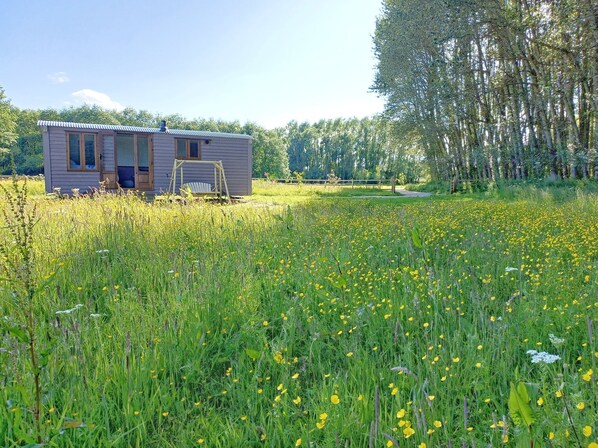 Situated in a lush field, this cabin features a front porch with a swing and a door with glass panels.