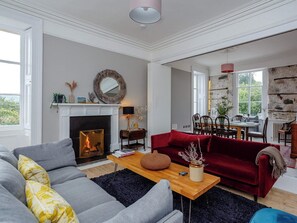 Télévision, cheminée, chaîne hi-fi