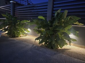 Outdoor plants illuminated by artificial lighting, set against a building with a modern design. - Apartments Andrea (Split)