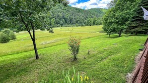 Un paysage verdoyant et luxuriant, avec un ciel dégagé, des arbres et un champ d’herbe.