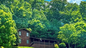 Un chalet rustique doté d’une terrasse en bois, entouré d’un feuillage verdoyant et luxuriant.