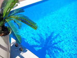 A clear blue pool with a palm tree and a glass of red wine on the edge. - Villa Lemily (Matulji)