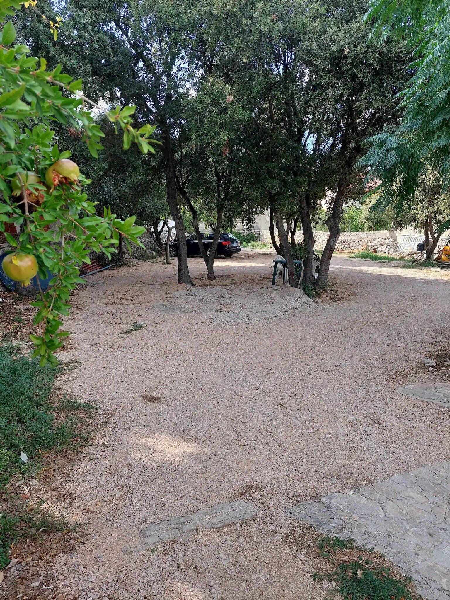 Ein Kiesparkplatz mit Bäumen und einer Bank.