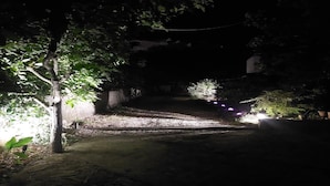 Ein schwach beleuchteter Weg in einem Garten, gesäumt von Bäumen und einer Mauer.