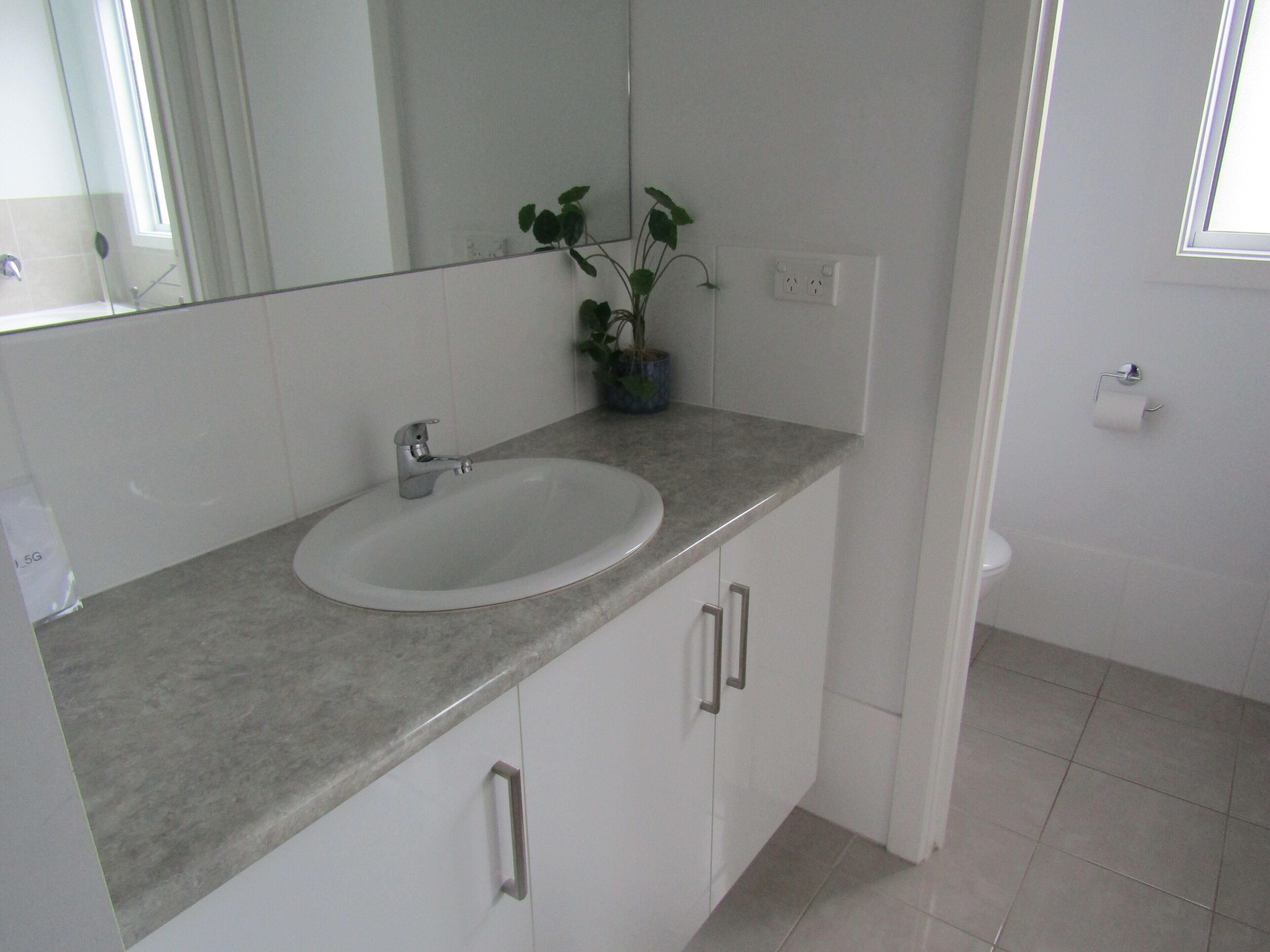 A bathroom with a white sink, a mirror, a potted plant, and a toilet.