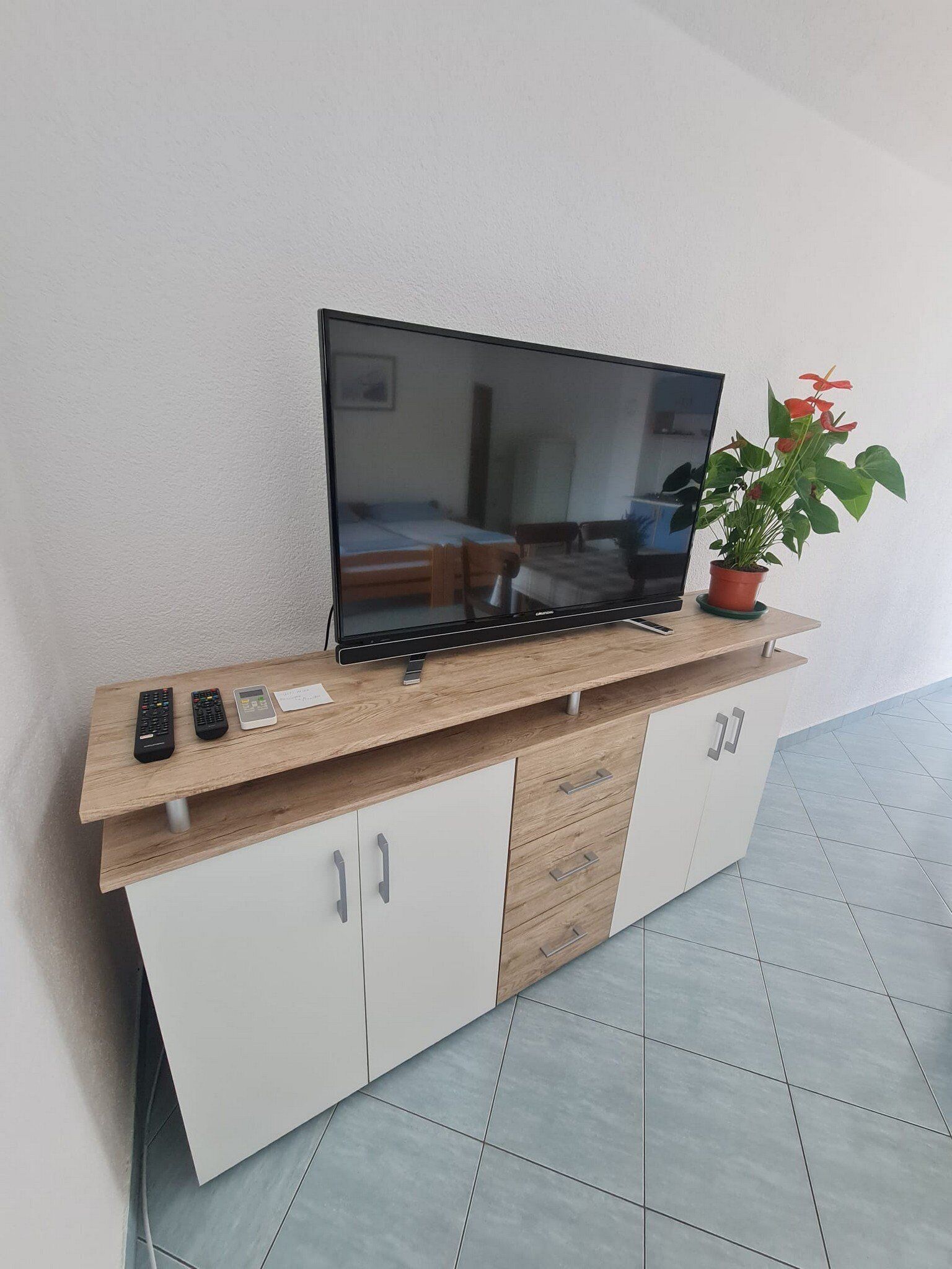Una habitación moderna con un televisor sobre una consola de madera, una pequeña planta en maceta y una cama con manta azul.