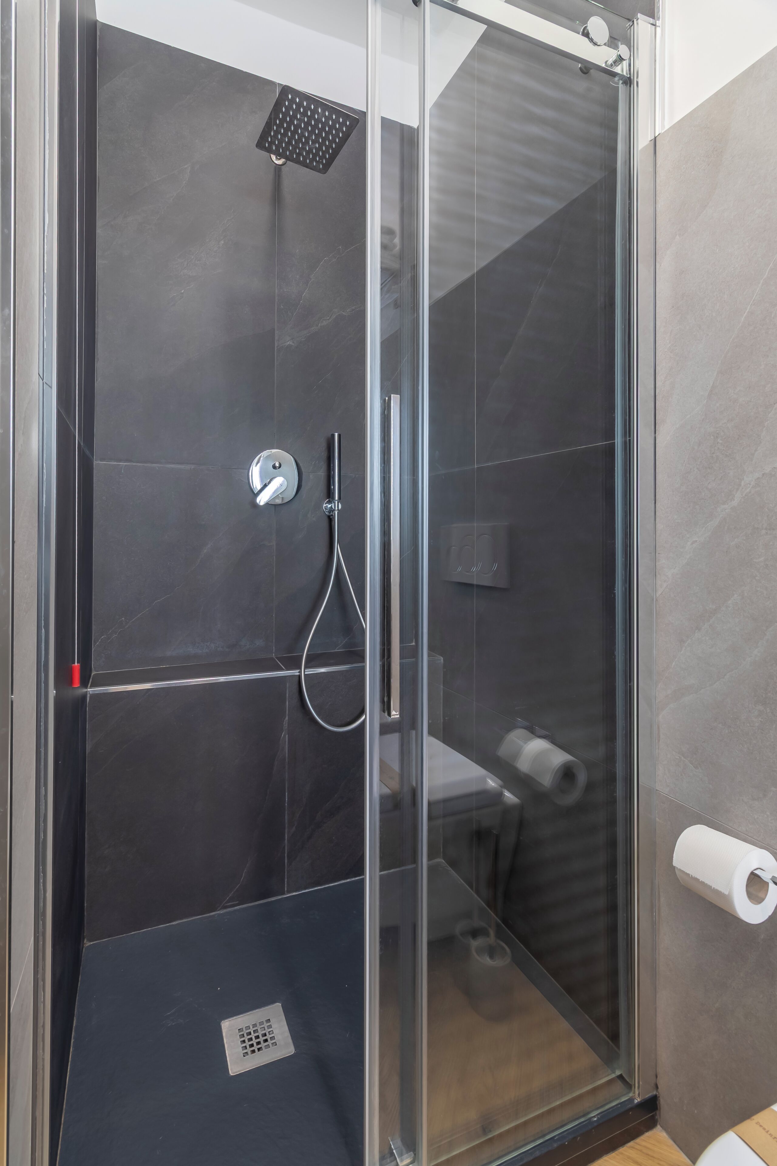 A modern shower with a glass door, a handheld showerhead, and a toilet paper holder.