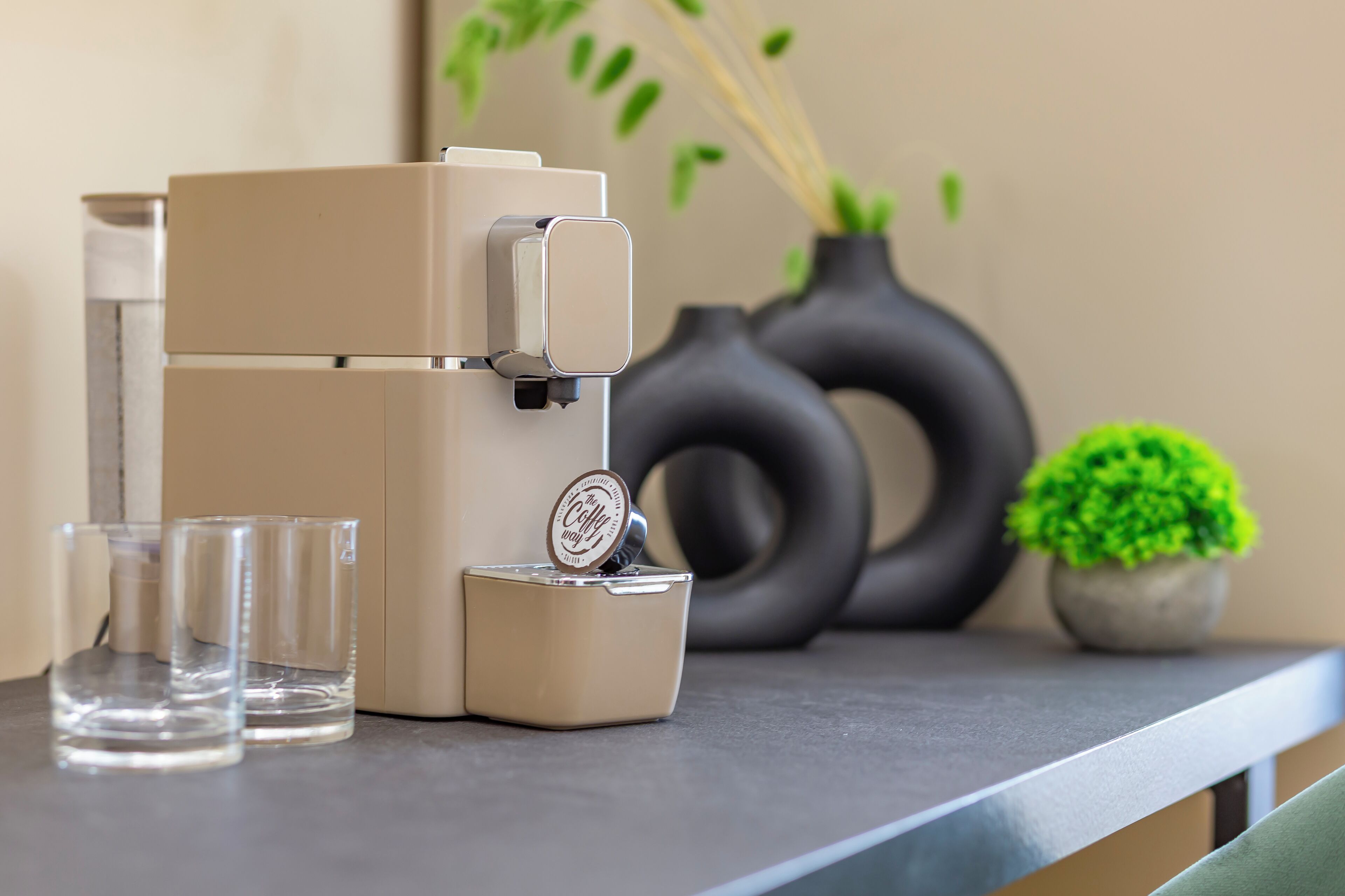 A coffee machine on a countertop with two glasses and a small potted plant.