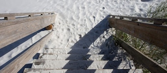 Cozy Studio - Close to Bars, Restaurants, and the Beach!