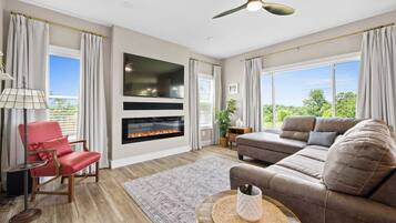 Télévision, cheminée, livres, espaces bureaux