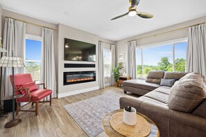 Télévision, cheminée, livres, espaces bureaux