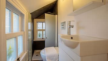 A narrow bathroom with a toilet, a sink, and frosted glass windows.