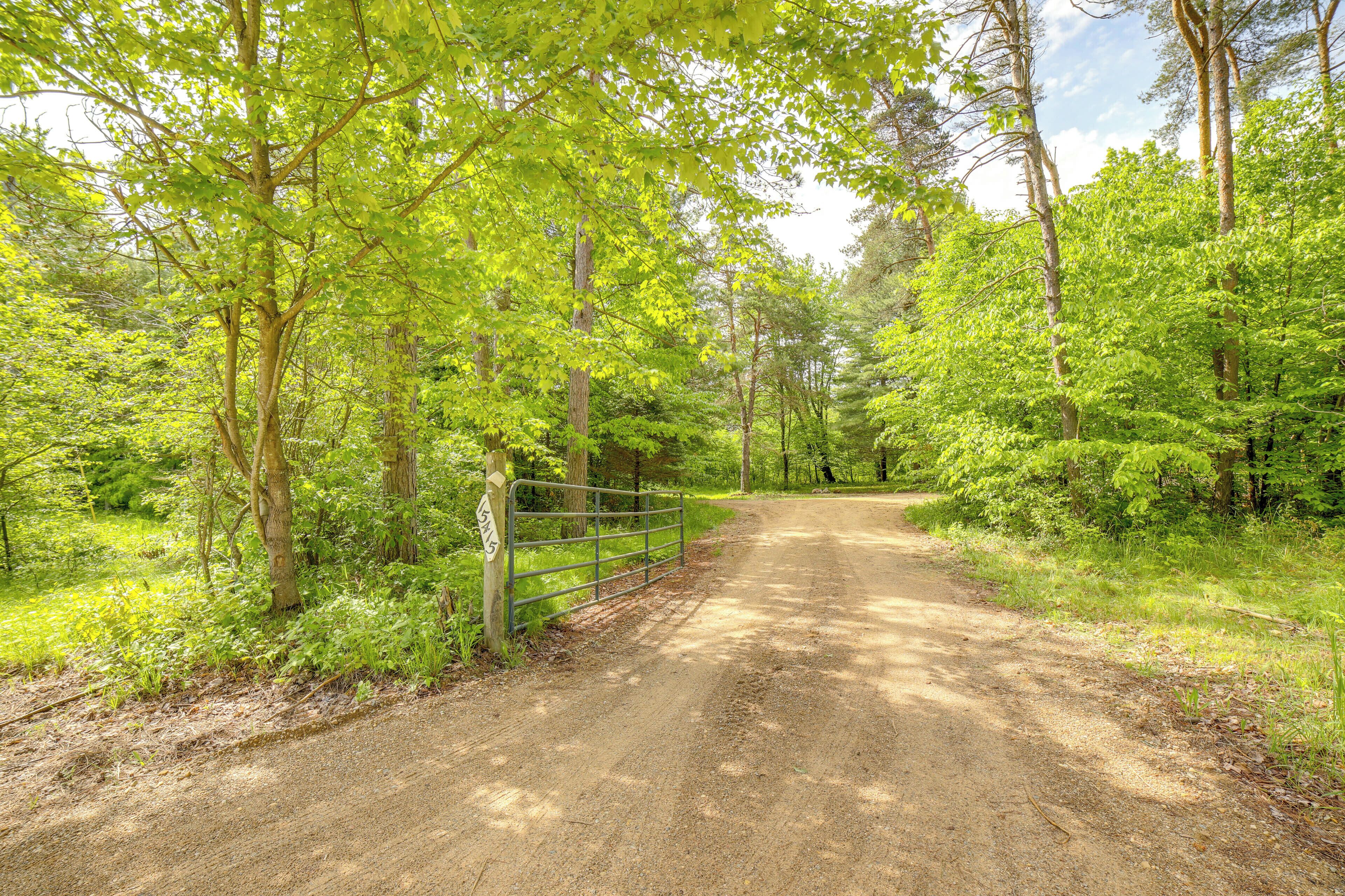 A dirt road flanked by lush green trees, leading into a forested area.