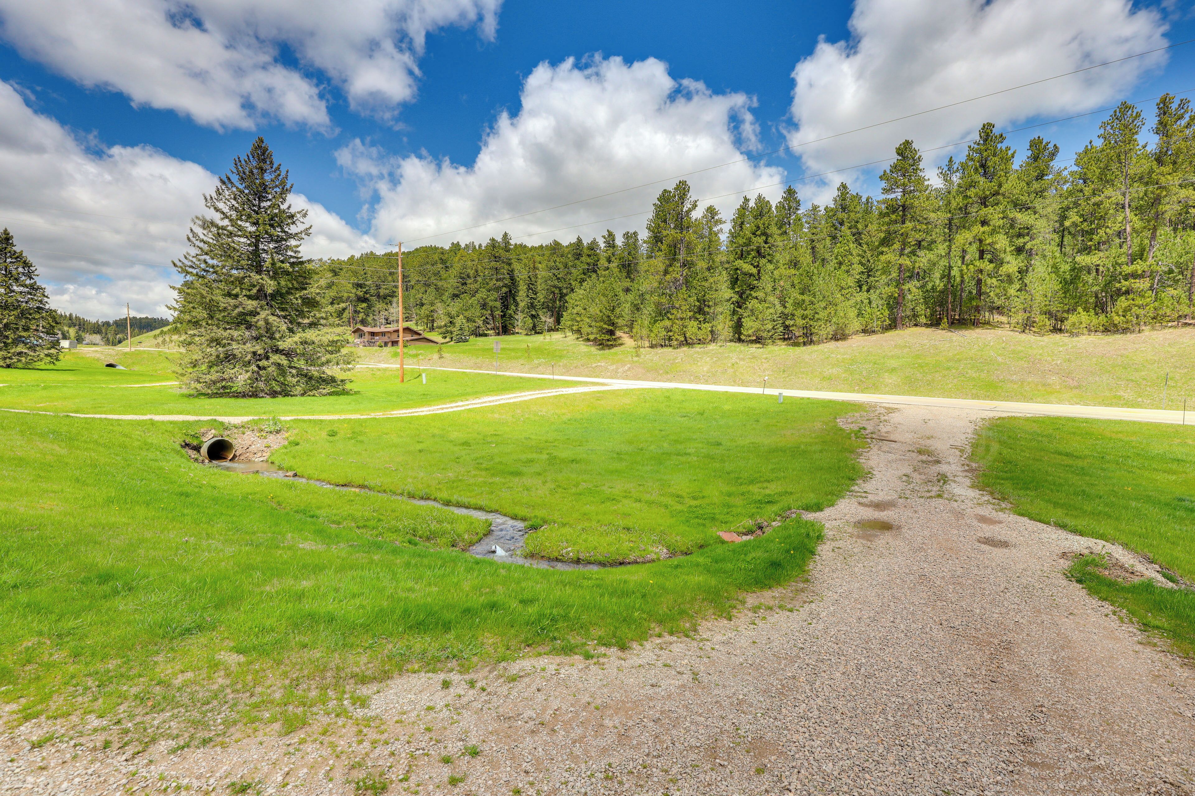A rural landscape with a gravel path, a small stream, and a large pine tree.