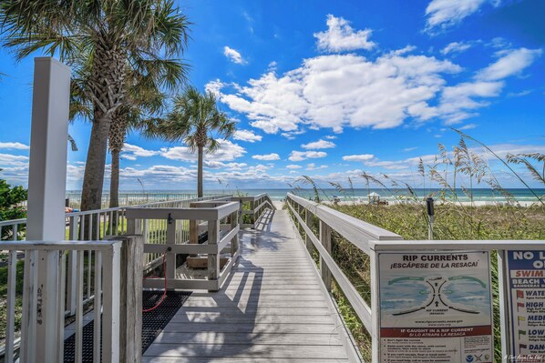 A wooden boardwalk leading to a beach with palm trees and a clear sky.