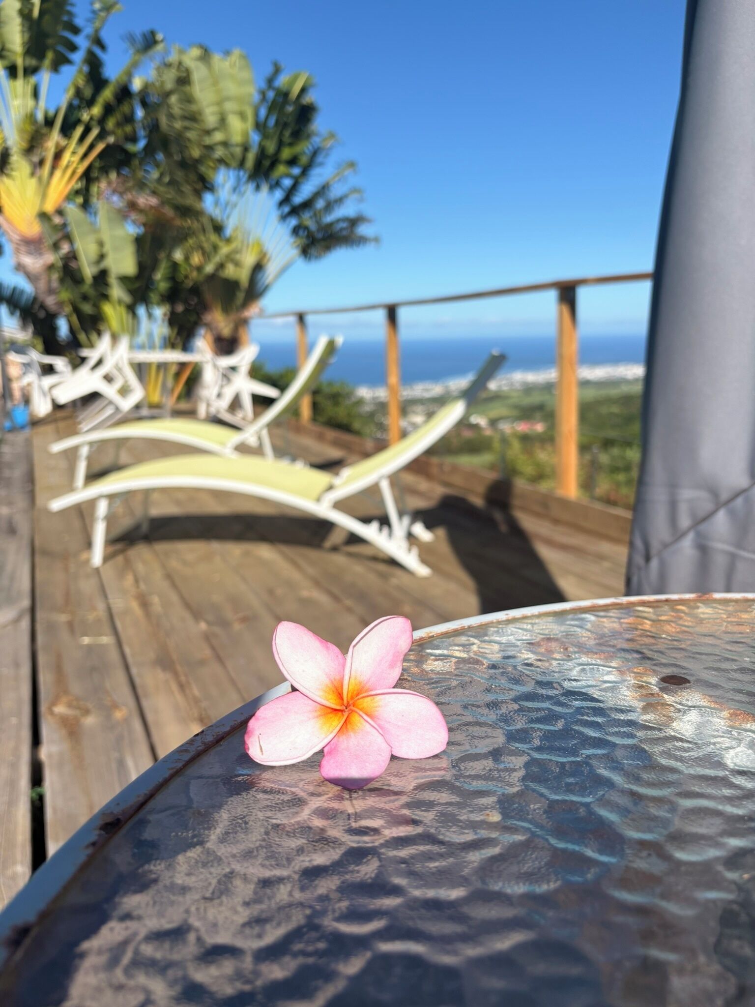 A table with a flower and a view of a beach and palm trees.