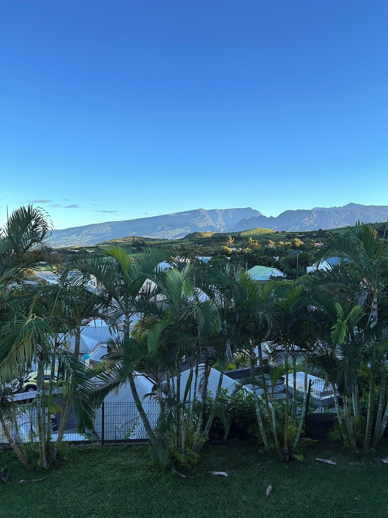 A tropical landscape with palm trees and a view of distant mountains.
