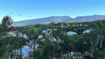 Un paysage tropical avec des palmiers et une vue sur des montagnes lointaines.