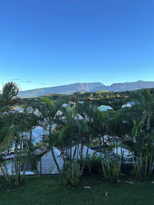 Un paisaje tropical con palmeras y una vista de montañas al lejano.