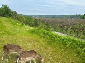 住宿地面