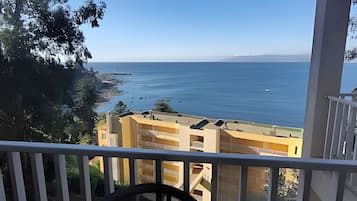 Apartment | Property grounds