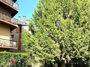 Detalle del exterior