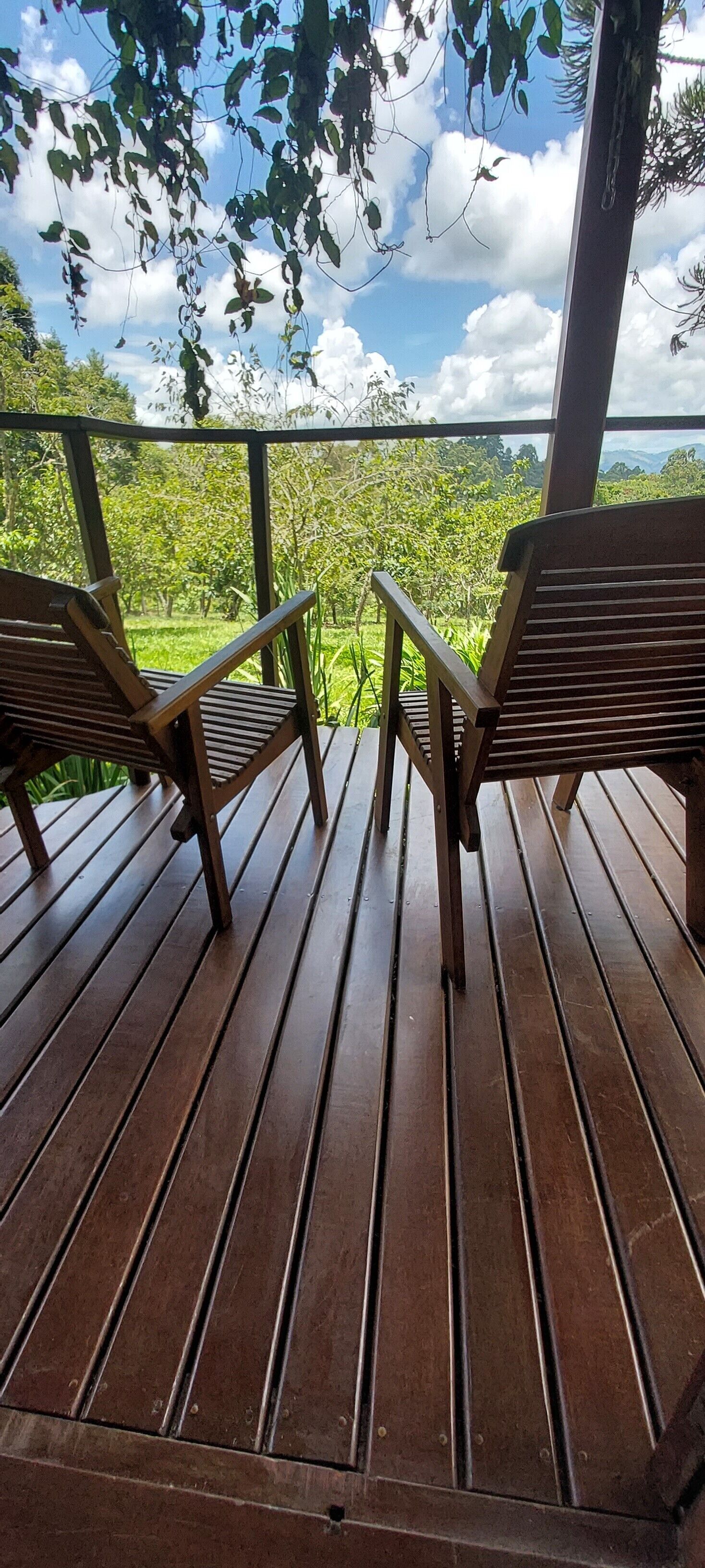 Superior Chalet | Terrace/patio