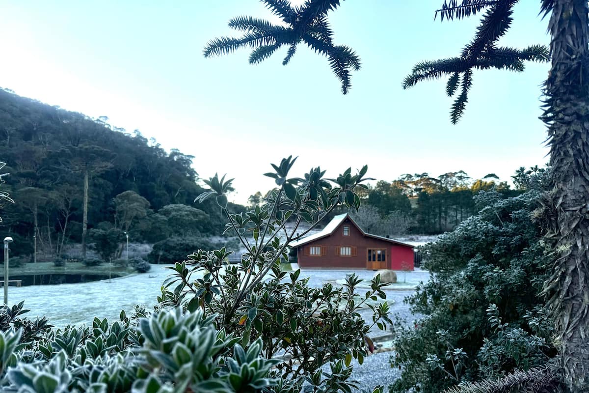 Vista al jardín