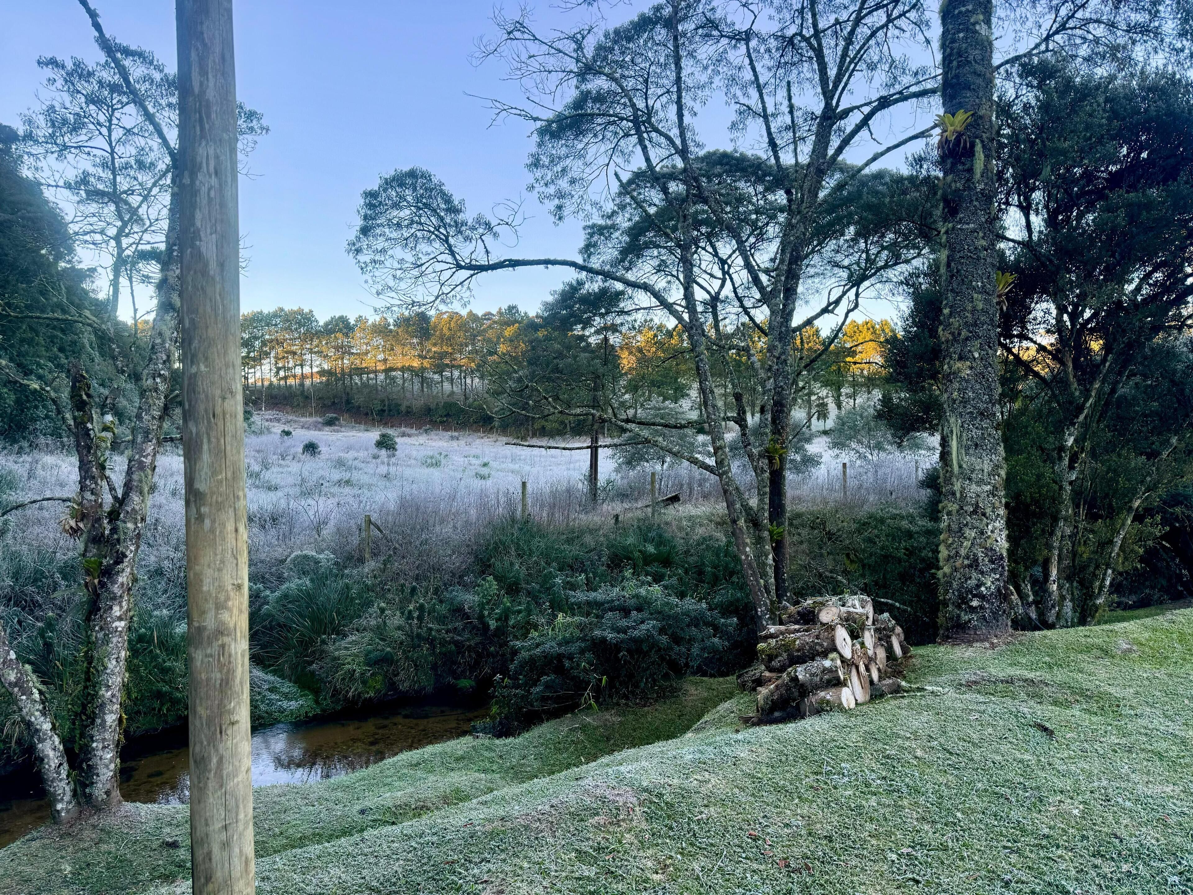 A natural landscape with a grassy area, trees, and a small body of water.