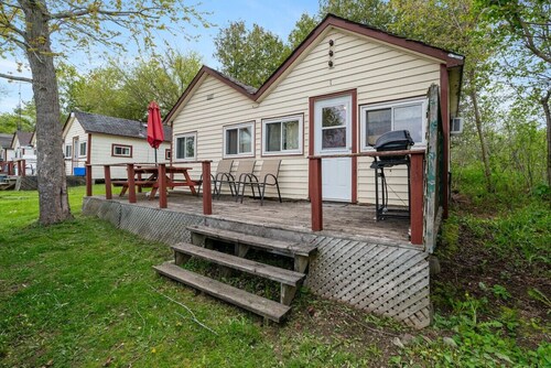 Dive into Nature at Rice Lake