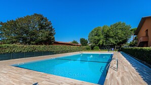 En rektangulär swimmingpool med en kakelbeklädd poolkant, omgiven av en låg häck och träd.