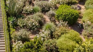 Un immeuble à plusieurs étages doté de balcons, entouré d’un jardin aménagé avec différents arbustes et plantes.
