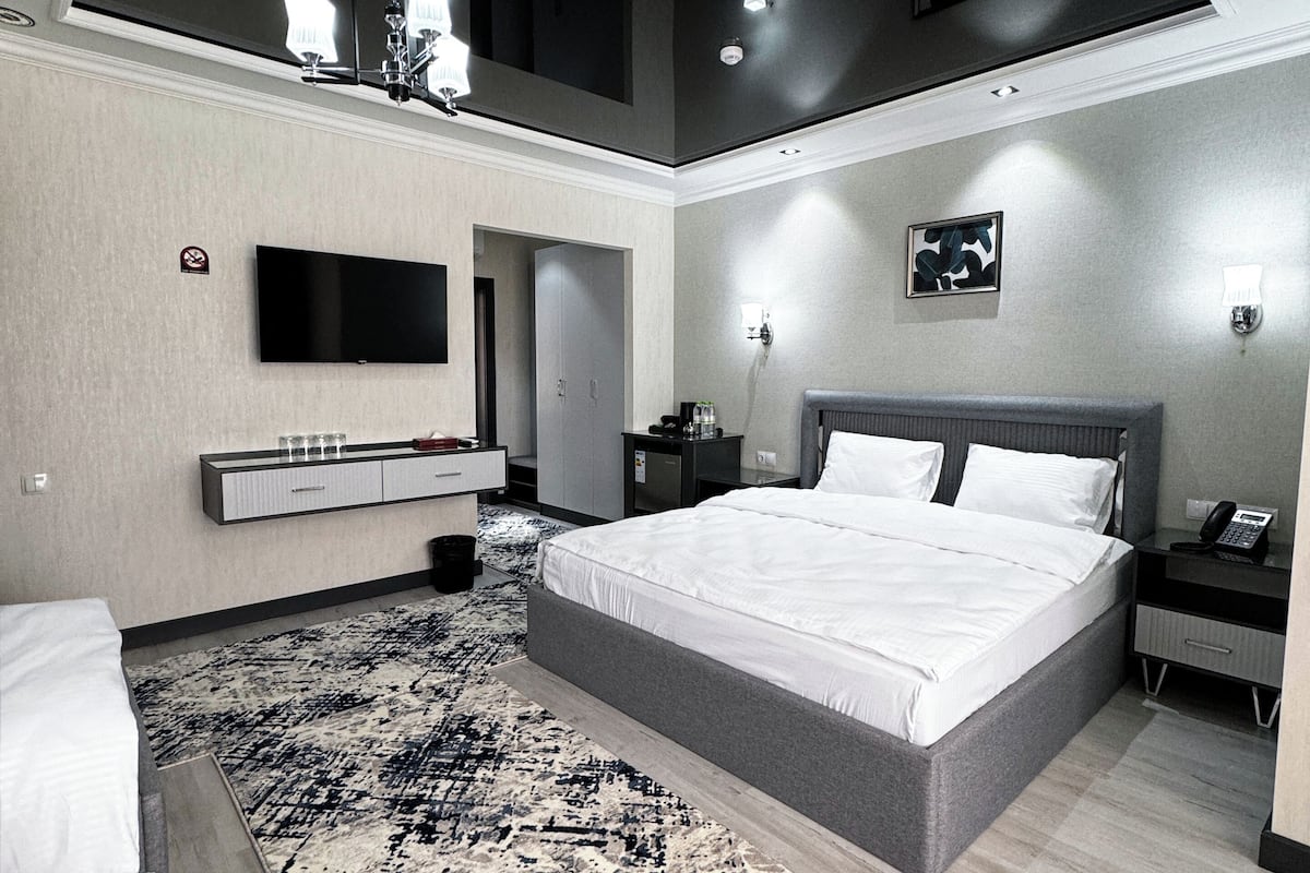 A modern bedroom with a large bed, a flat-screen TV, a bedside table, a nightstand, and a patterned rug.