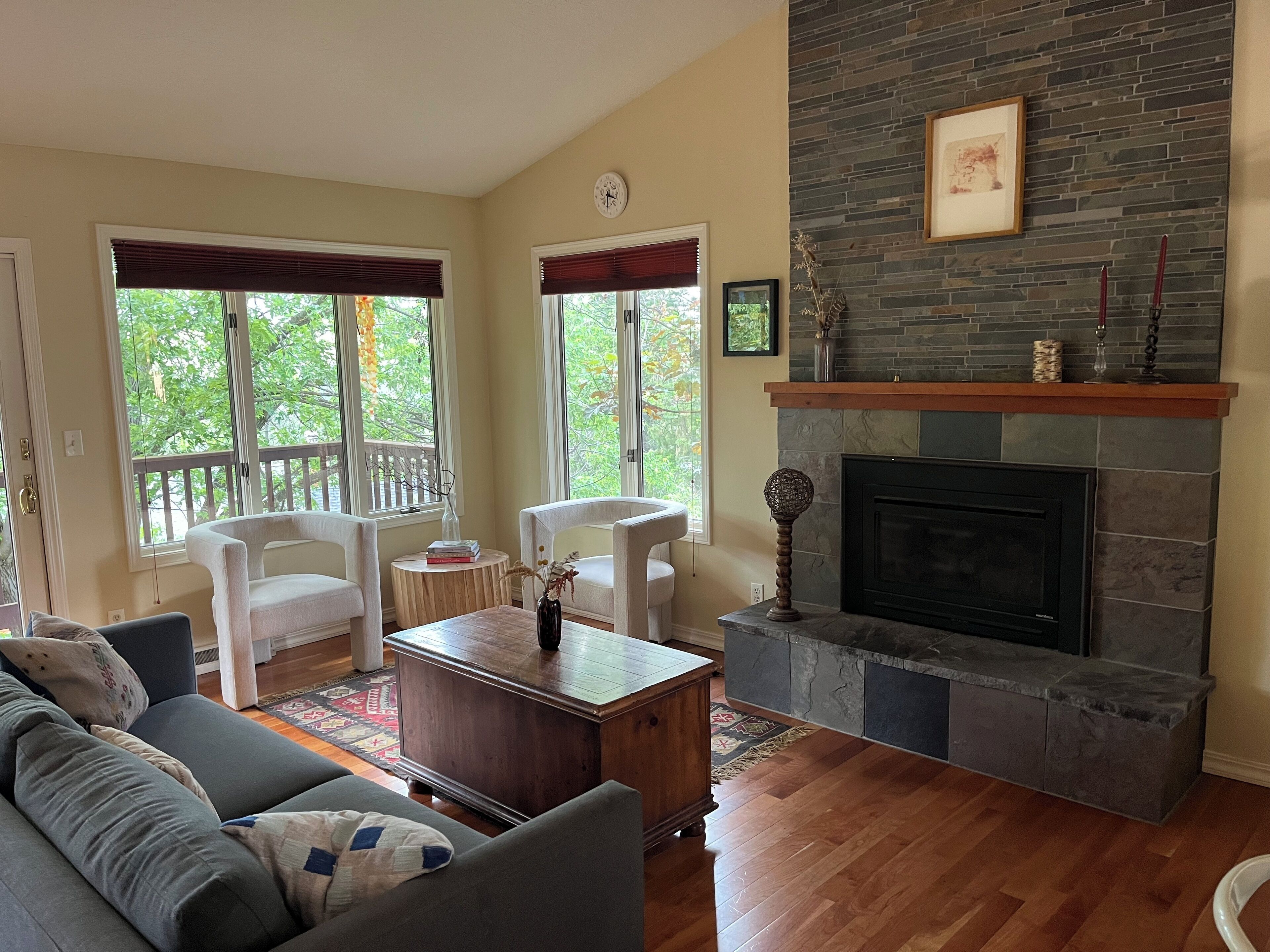 Smart TV, fireplace, books