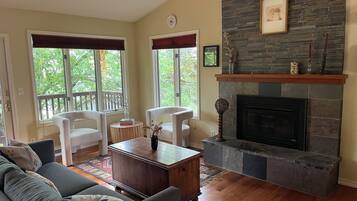 Smart TV, fireplace, books