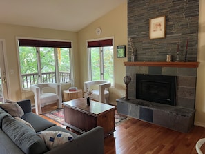 Smart TV, fireplace, books