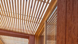 Un intérieur en bois avec un plafond à lattes, une table et des plantes en pot.