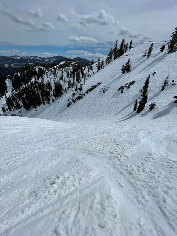 Snow and ski sports - Everline Resort and Spa 2 Queen Valley View (Olympic Valley)