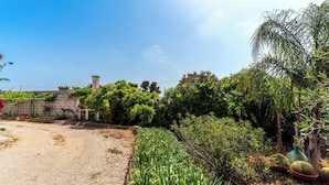 A garden with a gravel path, various plants, and a stone wall.