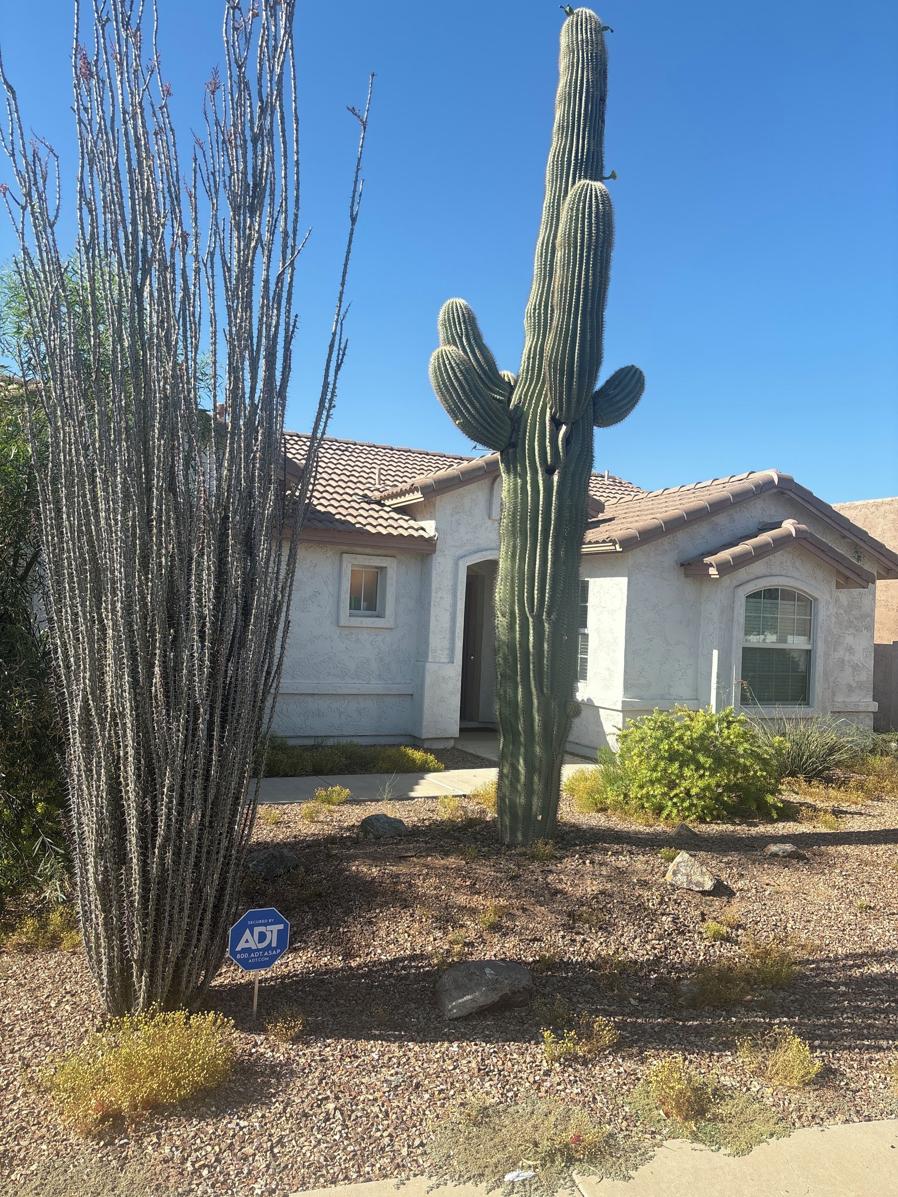 Amazing Living for the price it’s a must see!