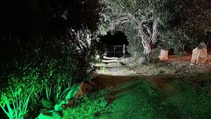 A nighttime garden with a pathway leading to a small structure, surrounded by dense foliage and illuminated by green lighting. - Casamarmora Al Carrubo (Sicilia)