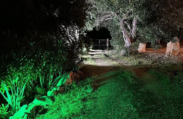 Un jardín nocturno con un sendero que lleva a una pequeña construcción, rodeada de follaje denso e iluminada con luces verdes.