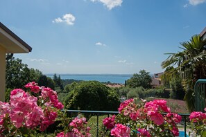 Departamento, vista al lago | Vista al lago