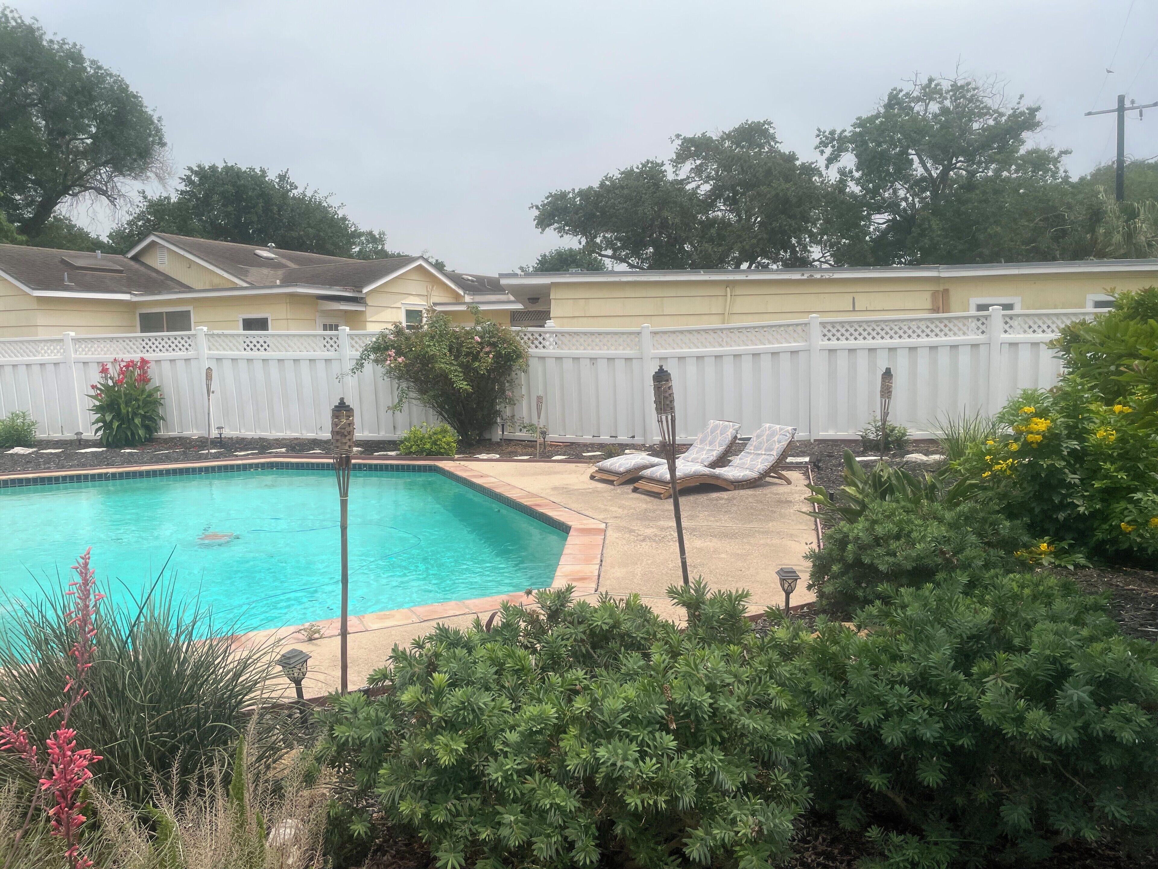 A backyard with a swimming pool, lounge chairs, and a white fence.